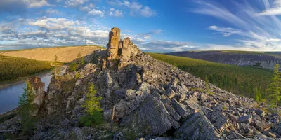 Фотография заснеженных деревьев на Анабарском плато