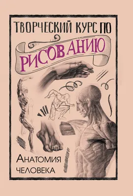 Купить Анатомия человека, медицинская настенная картина, скелет, орган,  мышечная система, красочный постер, печать на холсте, живопись для  образования тела | Joom