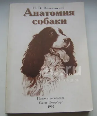 Топографическая анатомия собаки купить с доставкой в интернет-магазине |  janzenshop.de