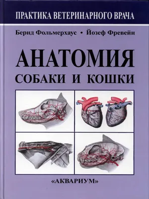 Собака ‒ Кисть - нормальная анатомия | vet-Anatomy