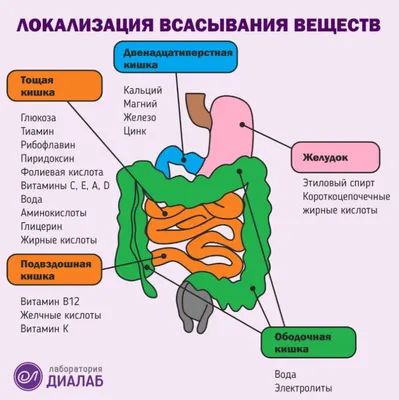 Эрозивный гастрит желудка: симптомы, лечение у взрослых, диета