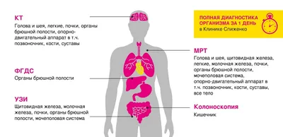 Кишечник и иммунитет. Шаг за Шагом | здрава с Александром Крыгиным | Дзен