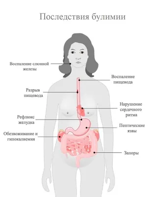 Бесполезные органы человека: истории из жизни, советы, новости, юмор и  картинки — Горячее, страница 6 | Пикабу