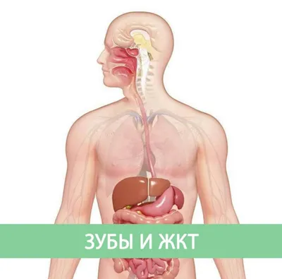 Переваривание: истории из жизни, советы, новости, юмор и картинки — Все  посты | Пикабу