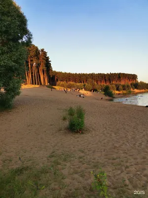 Калужанам разрешили купаться в Андреевском | 14.06.2023 | Новости Калуги -  БезФормата