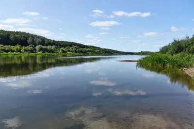 В каких калужских водоемах вода соответствует санитарным нормам?