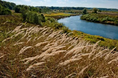 Андреевский карьер - Kaluga, Kaluga Oblast, Russia - Beach, Public Service  | Facebook