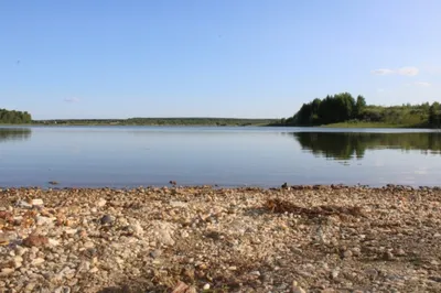 Тюменское озеро наполнилось мертвой рыбой и зеленой слизью. ФОТО, ВИДЕО —  URA.RU