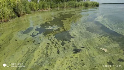 Купаться в Тюменской области можно на 11 водоемах - МК Тюмень