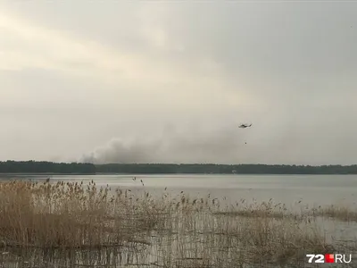 Отдых на Андреевских озёрах в Тюменской области: археологический музей, как  добраться, карта | Наш Урал и весь мир. Цели и маршруты для самостоятельных  поездок | Дзен