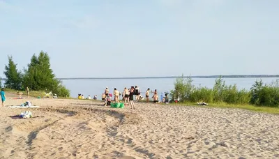 Озеро под Тобольском, где бушевала гаффская болезнь, покрылось зелёной  слизью и дохлой рыбой | 09.07.2020 | Тюмень - БезФормата