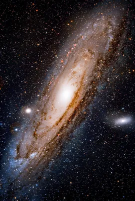 The Andromeda galaxy - captured with an 11 inch telescope from the desert :  r/space