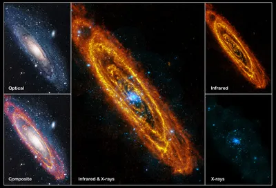 True colors of Andromeda - what are they? - Beginning Deep Sky Imaging -  Cloudy Nights