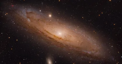 M31 – The Andromeda Galaxy – A Thousand Acres of Silphiums