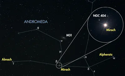 Andromeda, Unexpected - how three amateur astronomers and  astrophotographers changed our view of the Universe | Royal Museums  Greenwich