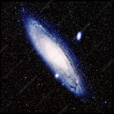 Messier 31, The Andromeda Galaxy. print by Roberto Colombari | Posterlounge