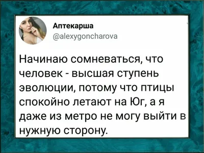 Анекдоты, картинки и шутки для настроения | Зарина Устинова | Дзен