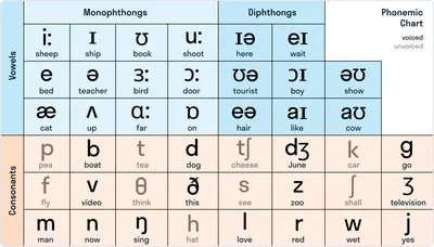 Английский алфавит с произношением, транскрипцией и переводом - начните  сегодня бесплатно