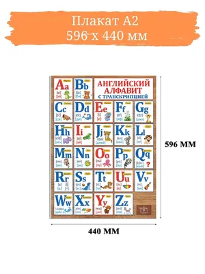 Обучающий плакат А2 (картон) \"Английский алфавит с транскрипцией\" - купить  с доставкой по выгодным ценам в интернет-магазине OZON (175779813)