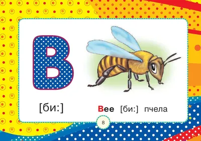 Купить Английский букварь в картинках (eks) в Минске в Беларуси |  Стоимость: за 2.67 руб.