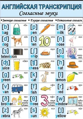 английский | Обучение детей, Обучение, Транскрипция
