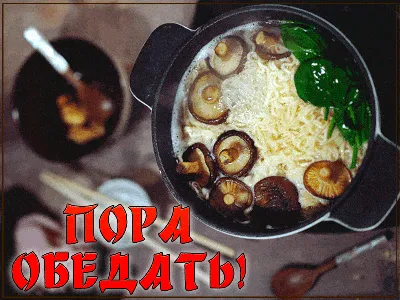 Рисованный аниме пищевой материал японская еда PNG , Omurice, Карри рис,  Жареные свиные отбивные PNG картинки и пнг PSD рисунок для бесплатной  загрузки