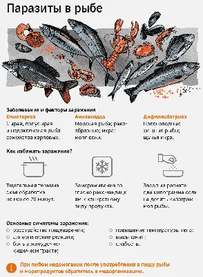 Рыбу с живыми глистами конфисковали с прилавков на Дальнем Востоке -  PrimaMedia.ru