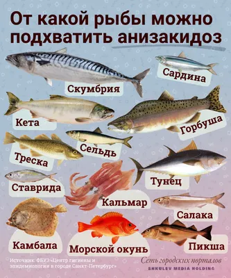 В суши и в океане растет число паразитов. Чем опасны анизакиды для рыбы и  людей?