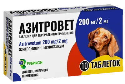 Купить Антигельминтик для собак LIVISTO Топ Дог 1000мг на 10кг, 4 таб. в  Бетховен