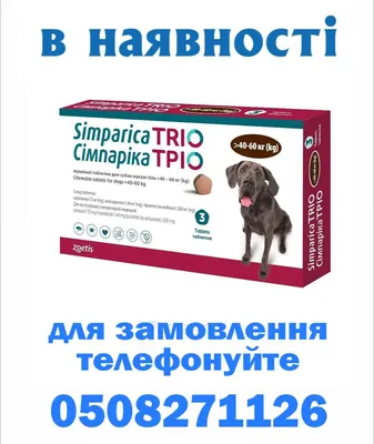 Мильбемакс ® таблетки для маленьких собак и щенков 2 таб. в упак. купить по  низкой цене с доставкой - БиоСтайл