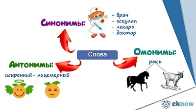 вкусные и ужасные антонимы слова карты противоположность концепции.  карточки для изучения английского языка. Иллюстрация вектора - иллюстрации  насчитывающей вкусно, образование: 222288358