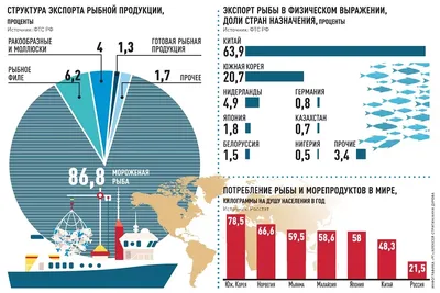 63% членов ЖК и Правительства КР старше 50 лет