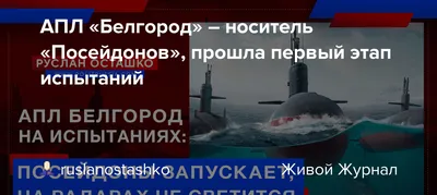 АПЛ Белгород подводная лодка спциального назначения К-329 флот ВМФ Посейдон  краб ( желтый металл ) — покупайте на Auction.ru по выгодной цене. Лот из  Архангельская область, Архангельск-55. Продавец Rif. Лот 224929405323531