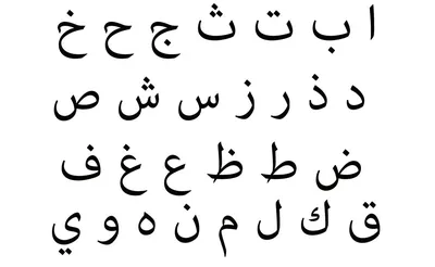 Секреты красоты арабских шейхов. И кое-что про ОАЭ. | МОРЕ ЗНАНИЙ | Дзен