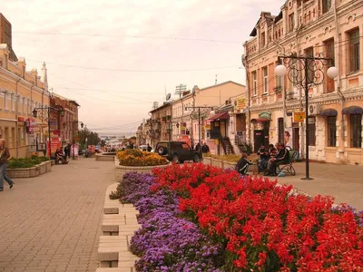 Новогодний Владивосток: где весело провести время на каникулах и сделать  памятные фото - PrimaMedia.ru