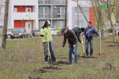 ЖК Арбековская застава в Пензе - купить квартиру в жилом комплексе: отзывы,  цены и новости