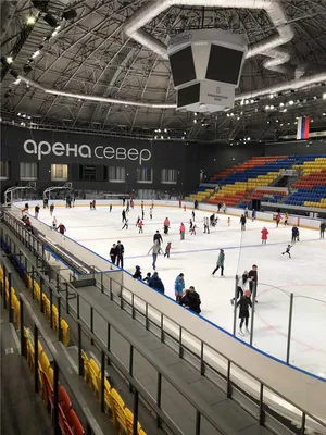 Возможности и перспективы большепролетного деревянного строительства