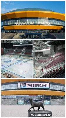 Какие спортивные сооружения есть во Владивостоке?