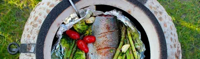 🐟 Хариус купить - рыба хариус цена за кг от 1020 руб в Владивостоке,  доставка - интернет-магазин Дикоед