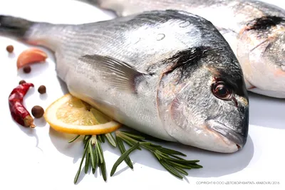 Хек потрошенный 400-600 г - Ocean Food