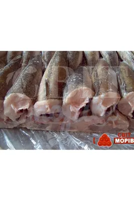 🐠 Купить форель: цена за 1 кг в Москве от 760 руб в интернет-магазине —  Дикоед