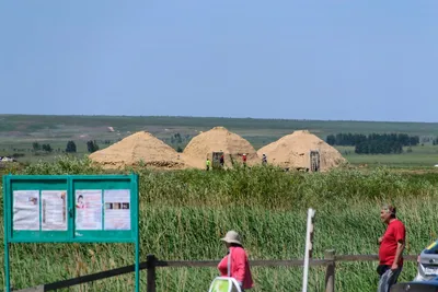 Уютный дом в Уфе, ТВК \"Аркаим-экспо\", ул. Менделеева, 21 - фото, отзывы,  рейтинг, телефон и адрес