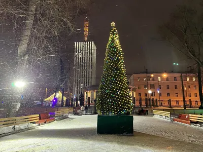 Картинки на тему #Архангельск - в Шедевруме