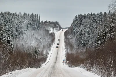 Архангельск зимой фото фото