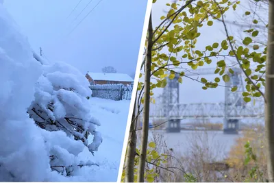 Новогодний Архангельск и заповедное Пинежье