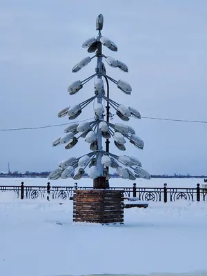 Пешеходный проспект Чумбарова-Лучинского, город Архангельск - «Атмосфера  старого Архангельска и дух Русского Севера. Пешеходная улица  Чумбарова-Лучинского» | отзывы