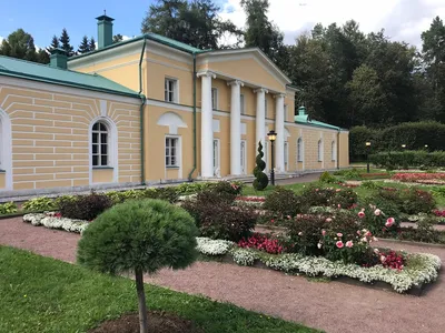 Организация свадьбы в усадьбе Архангельское в Москве - ART EVENT