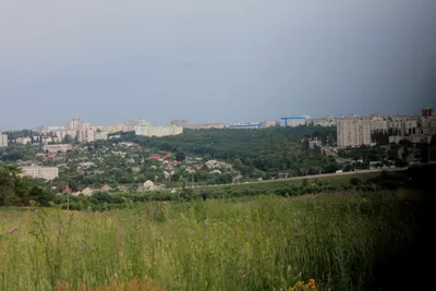 В Белгороде заложили дубовую рощу — ГТРК «Белгород». (Филиал ФГУП ВГТРК)