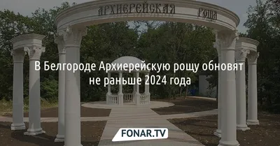 В Белгороде в Архиерейской роще вырубят 924 дерева — FONAR.TV