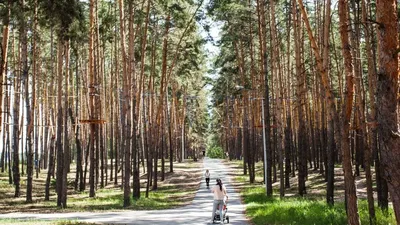 Праздничный город первого салюта.